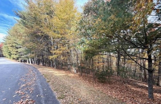 Wooded lot at TBD Woodland Shores, Jefferson NC — MLS #265123, listed by John Blevins, Regency Properties